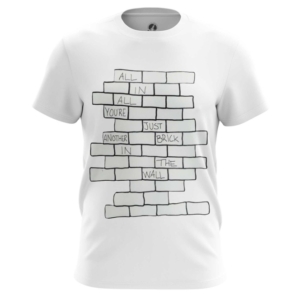 Мужская футболка Wall Pink Floyd мерчандайз - main 18veu93s 1562917160