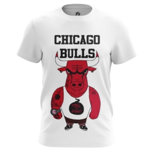 Мужская футболка Чикаго Буллз Мерч Баскетбол - main a2g83z1k 1564570018